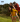 KMD brand image teenagers having fun