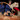 Two people watching a native marsupial jumping across sand