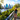 A woman in a hat looks out from a leafy lookout at the Brisbane city skyline and river.